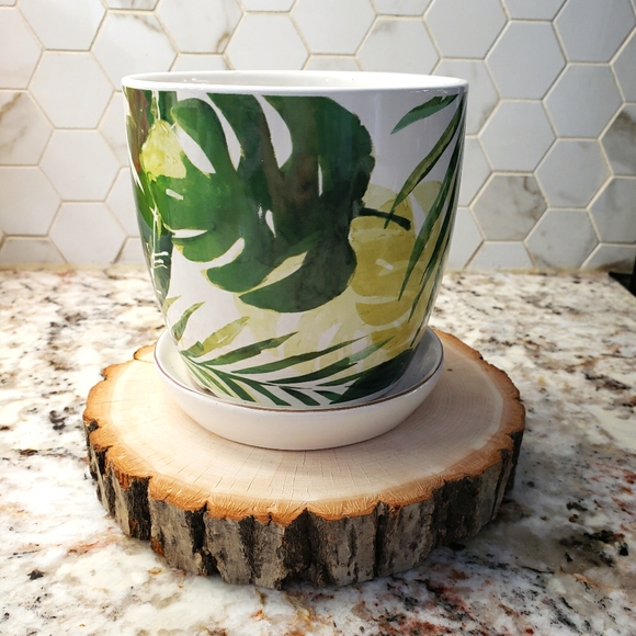 Target Other - Target Home Planter